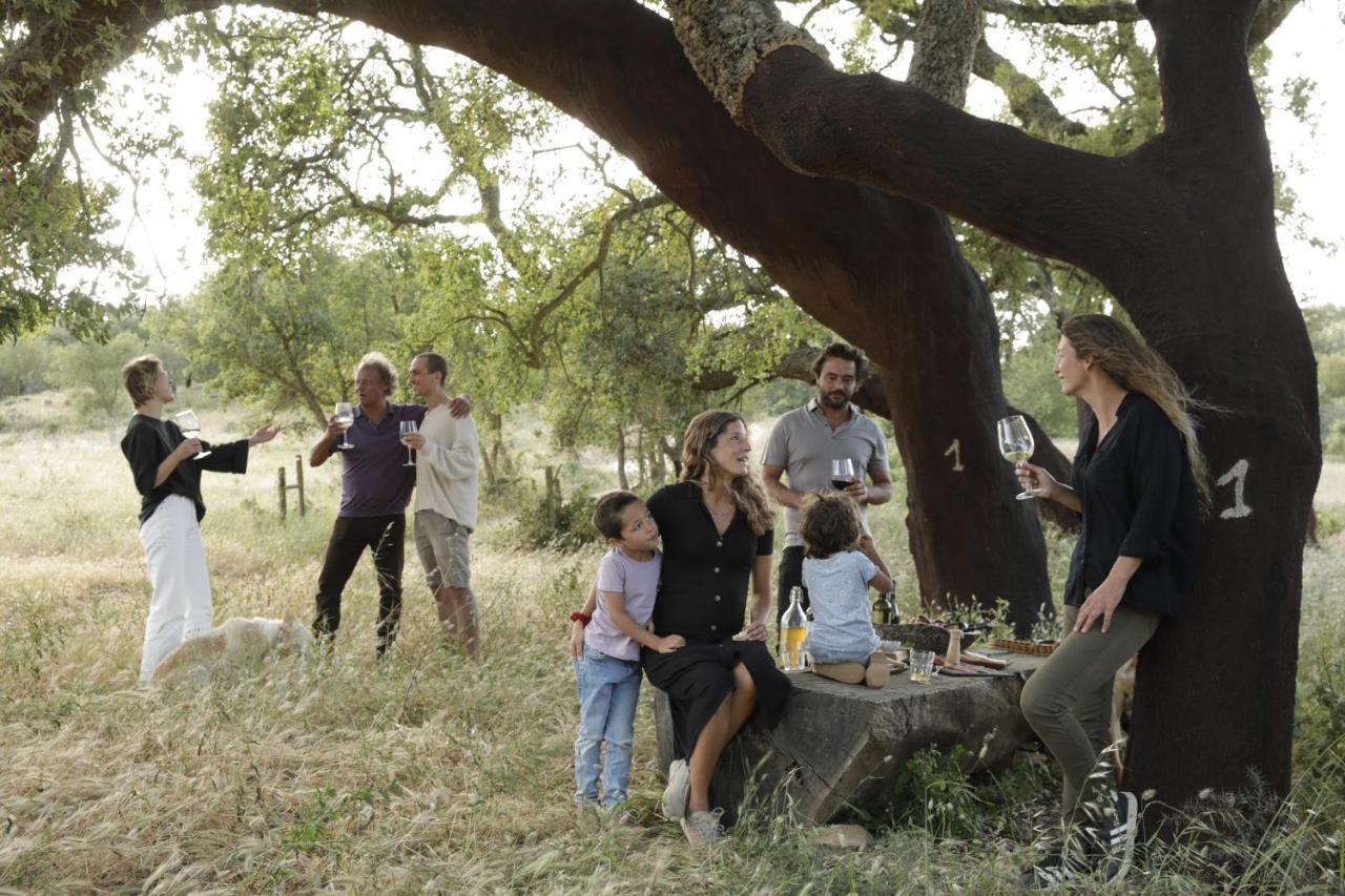 เฮอร์ดาช ดา มาติงยา โฮเทล Guest House Cercal do Alentejo ภายนอก รูปภาพ