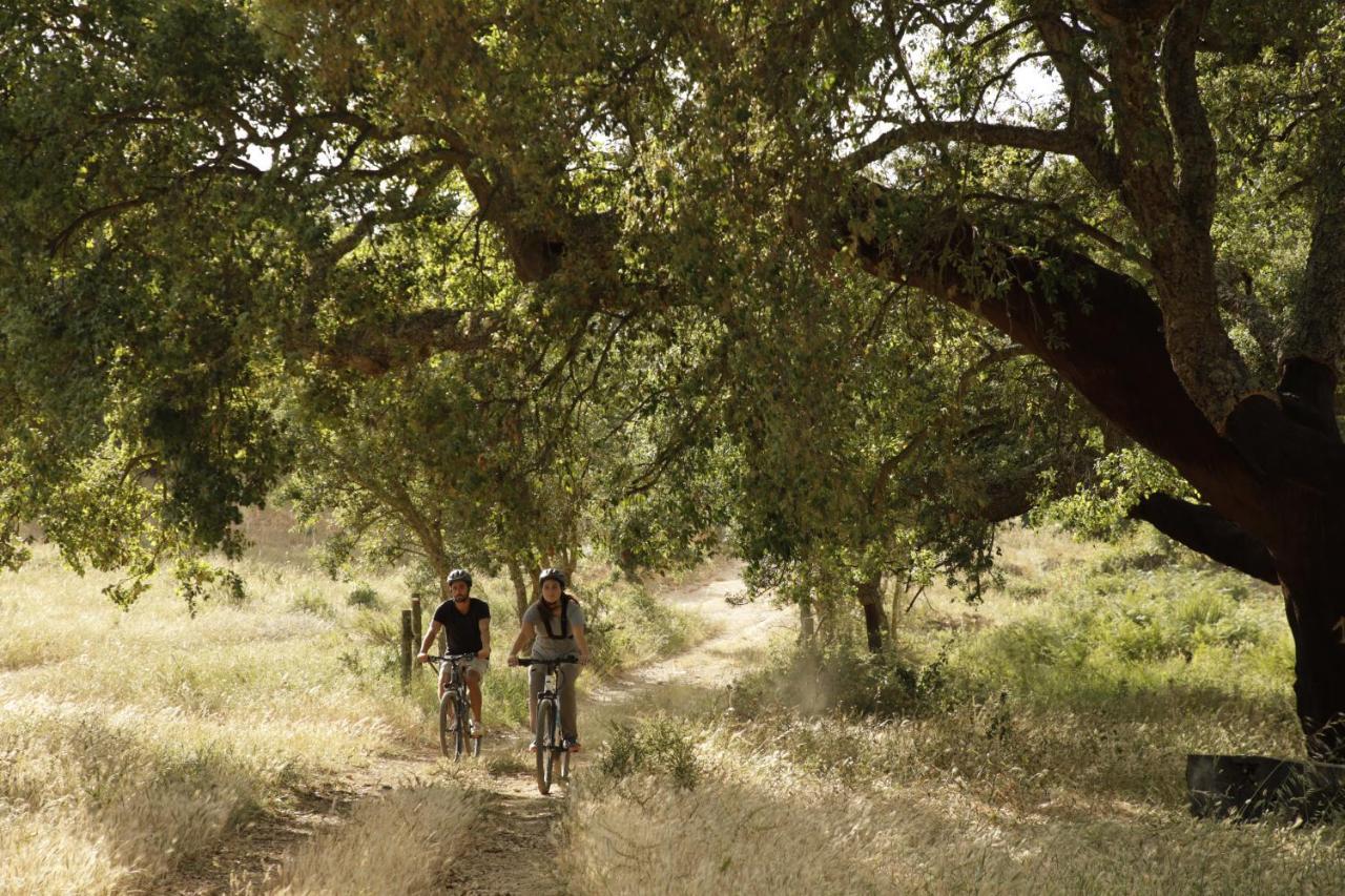 เฮอร์ดาช ดา มาติงยา โฮเทล Guest House Cercal do Alentejo ภายนอก รูปภาพ